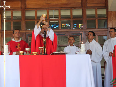 Célébration de la messe des Rameaux 2015